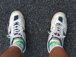2164310_562949400_173large.jpg